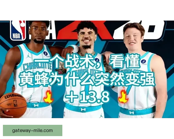 黄蜂队新赛季全解析球员阵容战术变化与夺冠潜力分析